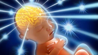 Navodi Jayathilaka: The First CRISPR-Edited Babies - A Moment That Changed History