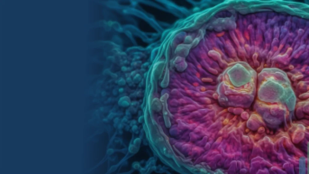 Decoding Mitochondrial Signals in Embryo Selection – Embryomic