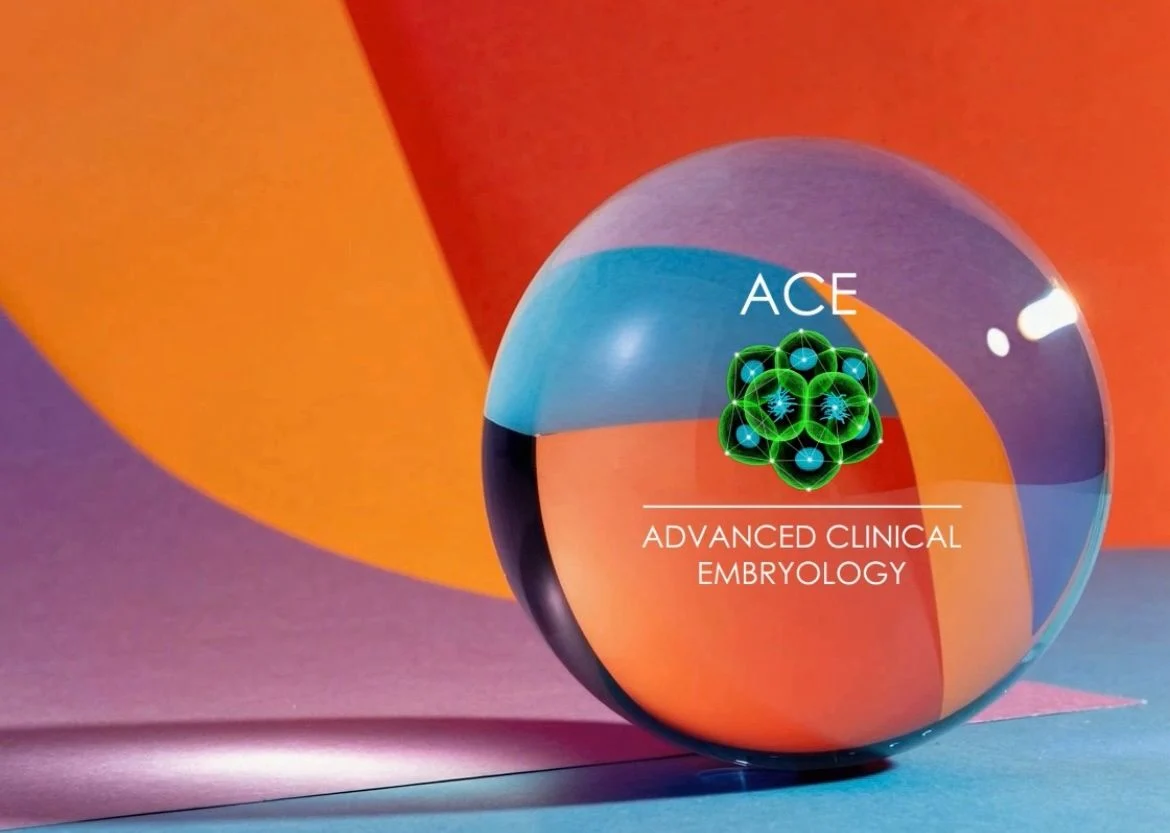 Mara Simopoulou: Athens Hosts Leading Experts in Embryo Transfer and Implantation Science