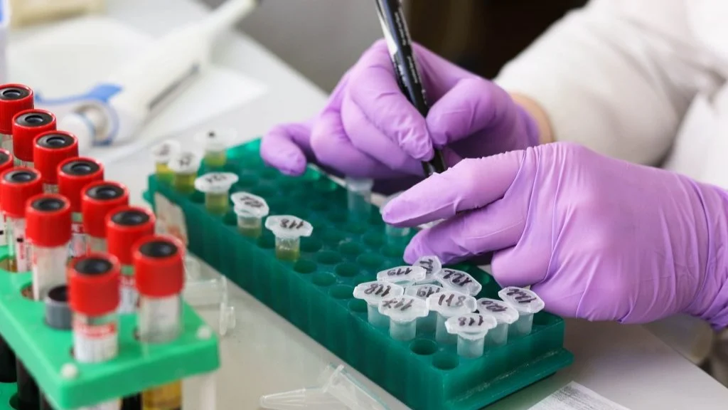 New Breakthrough Restores Sperm Production – Baylor College of Medicine