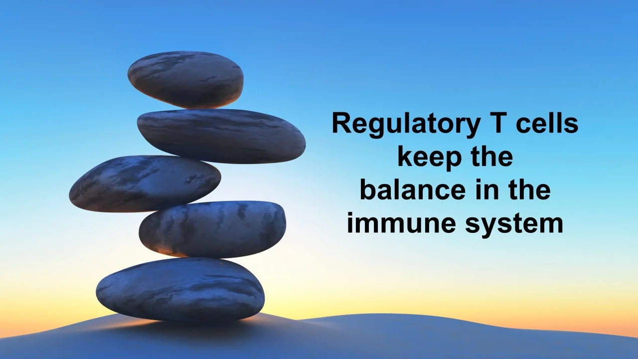 Belinda Kaskow: Nobel Prize Spotlights Tregs for Immune Balance in Autoimmune Disease
