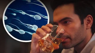 35% Higher Risk of Birth Defects Linked to Alcohol Use Before Conception - Explain