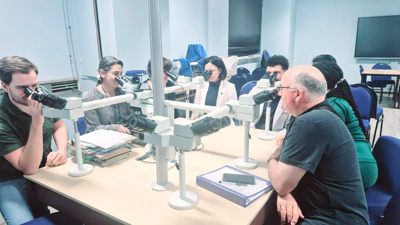 Gynaecologic Oncology