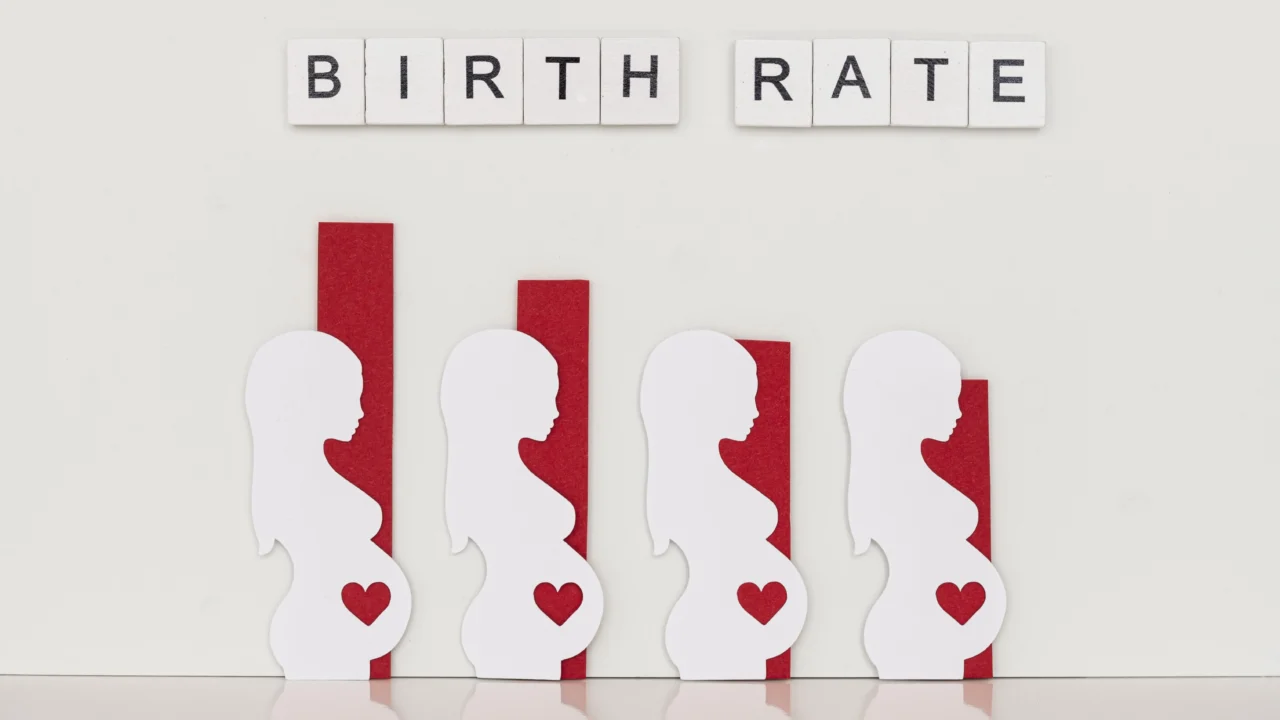 The Downside of Fertility – National Bureau of Economic Research