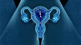 Aneuploidy and the Diameter of Blastocysts: Does Size Matter? - Aging-US