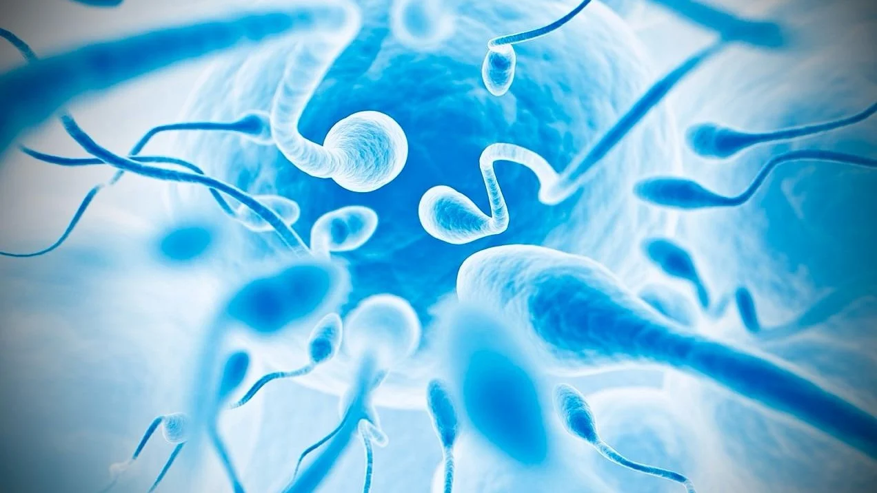 The Impact of Chemical Pollution and Warming on Male Fertility – Repro Scientifics – Sperm Tracer
