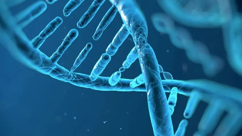 How Genetic Testing Is Reshaping Reproductive Health – BW Healthcare World