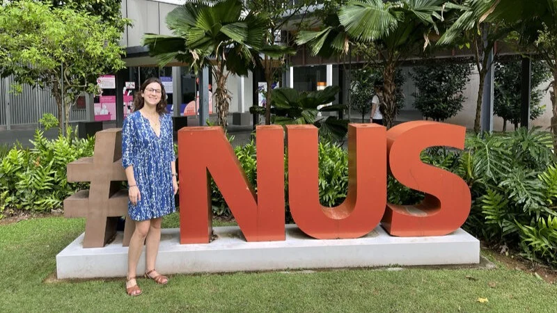 Exploring Postpartum Depression Across Borders – iWISH