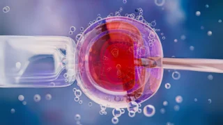 The Global IVF Market Is Set to Reach $65B by 2032 – Meddilink