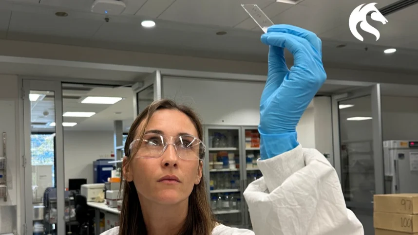 Unwrapping the Link Between Plastic Food Packaging and Female Fertility – University of Newcastle