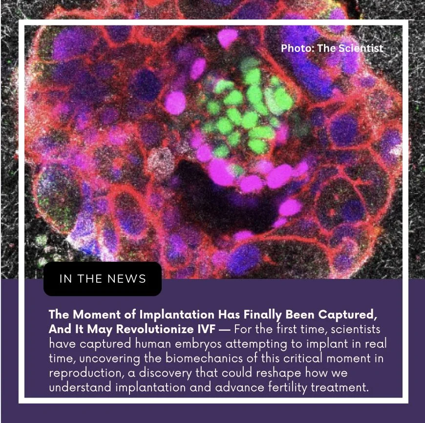 Tanya Williams: Watching Embryos Implant Could Change IVF