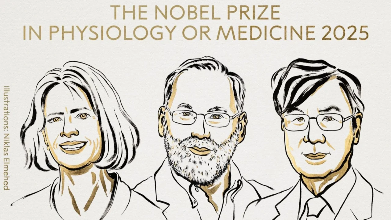 2025 Medicine Awarded for Discoveries in Immune System Regulation – The Nobel Prize