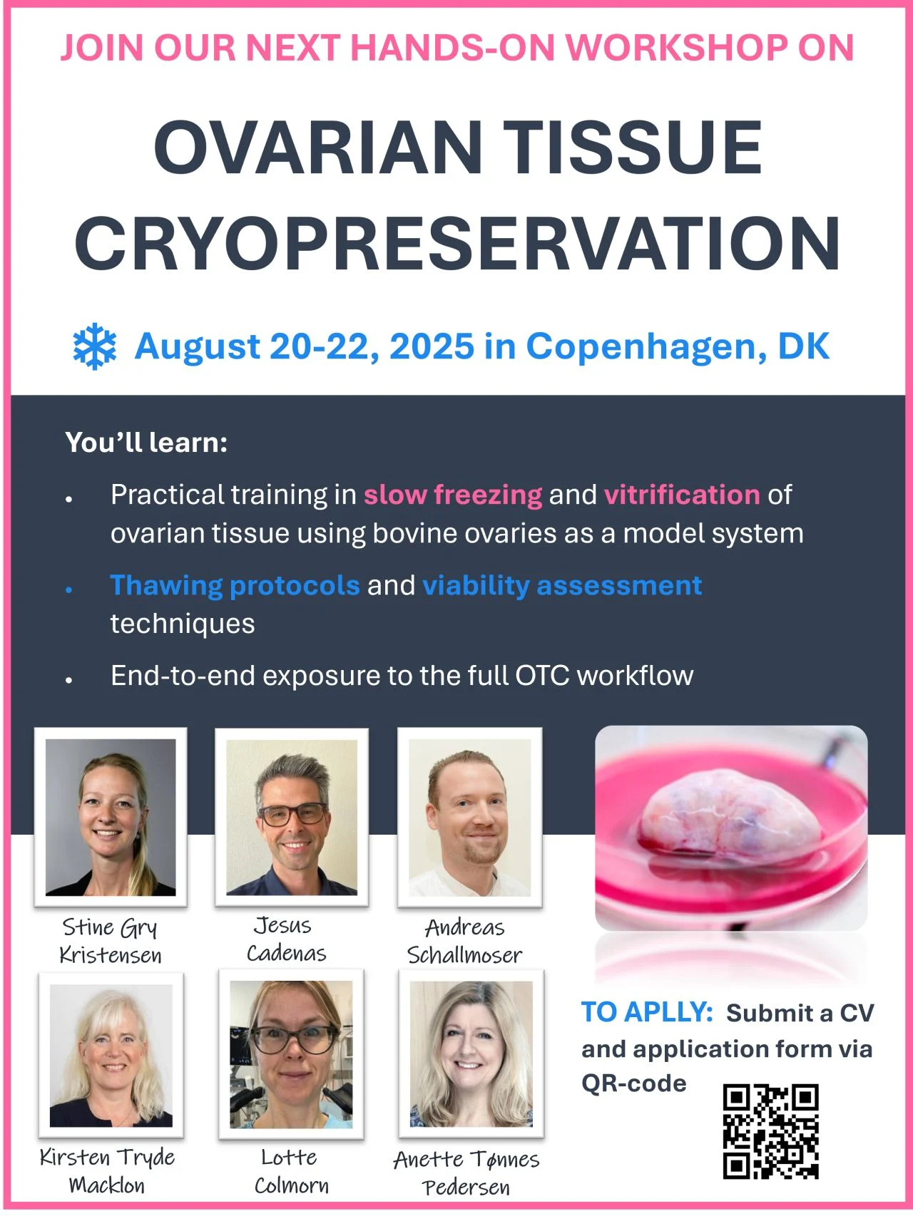 Stine Gry Kristensen: Hands On Workshop on Ovarian Tissue Cryopreservation 2025