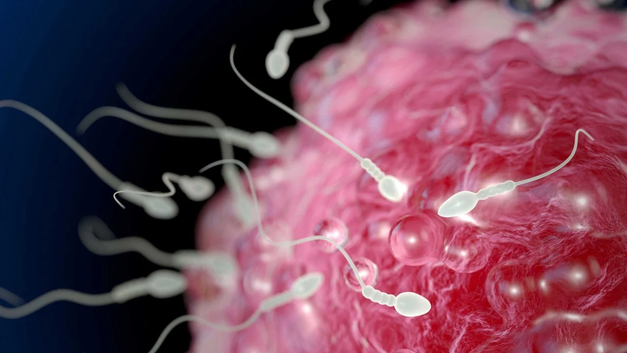 Nathaniel Jonathan Berky: New Protein-Binding Insight May Transform Personalised IVF