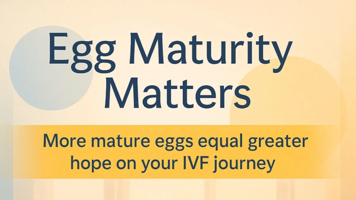 Impact of Oocyte Maturity on IVF Success Rates – Fertility Plus