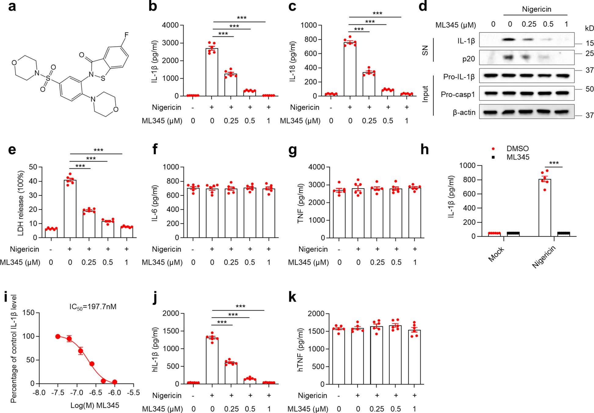 Molecular Biomedicine