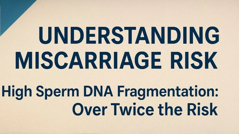 High Sperm DNA Fragmentation Doubles Miscarriage Risk – Fertility Plus