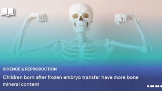 ESHRE Highlights Long-Term Risks of FET on Bone Density