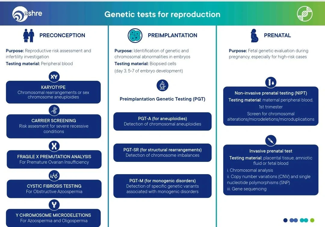 Karolina Nowicka-Bauer