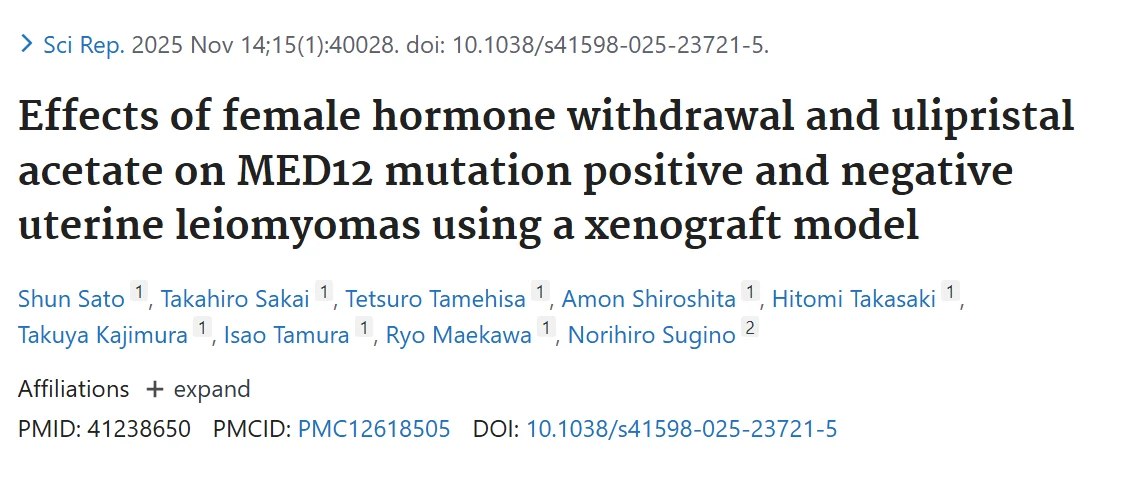 The Fibroid Foundation