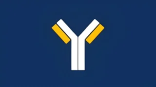 Unveiling the Role of NK Cells in Cancer and Pregnancy - Immunology Notes