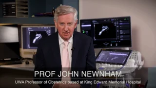 Australia’s National Initiative Cuts Preterm and Early-Term Births by 7–10% - Every Week Counts