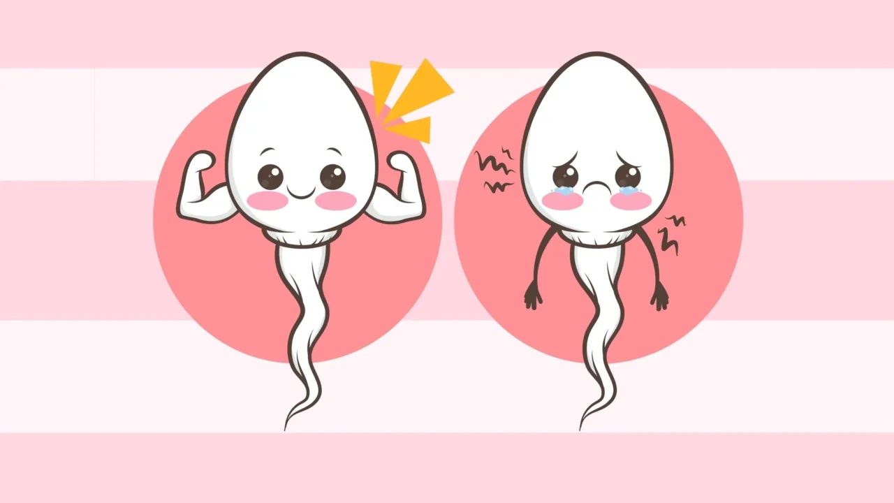 Rahul Manoj: How Do We Get Abnormal Sperm