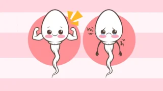 Rahul Manoj: How Do We Get Abnormal Sperm