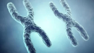 Dilcy Angili Pattiyage: Science Must Stop Treating Female Biology as “Too Complex”