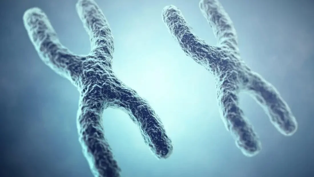 Dilcy Angili Pattiyage: Science Must Stop Treating Female Biology as “Too Complex”