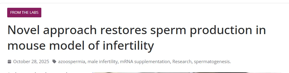 New Breakthrough Restores Sperm Production – Baylor College of Medicine