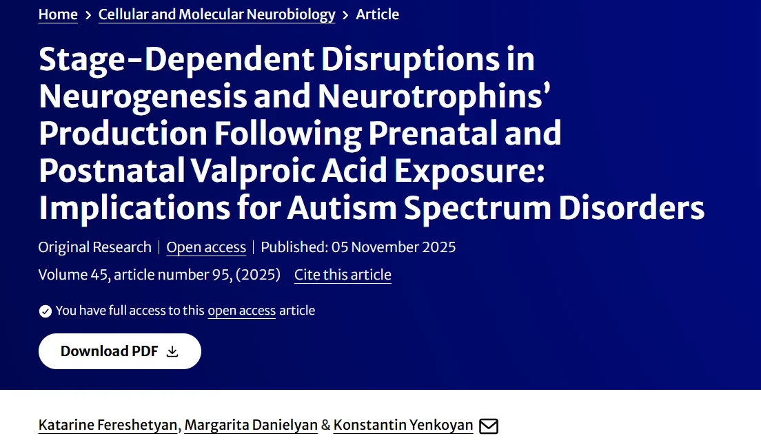Konstantin Yenkoyan: YSMU Team Uncovers Stage-Dependent Vulnerability in Developing Brain