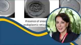 Silvia Alvarez: Do Endometriosis or Adenomyosis Affect Oocyte Quality and Pregnancy Rates?