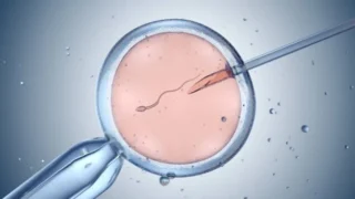 Donor Eggs Boost IVF Success Rates for Women Over 40 - Reproductive Medicine and Infertility Associates