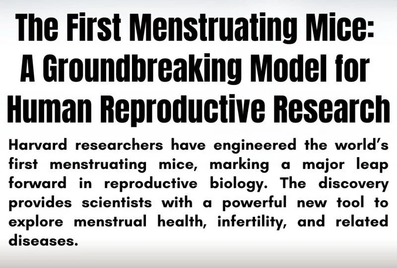 Muhammad Sohaib Hassan: World’s First Menstruating Mouse Model Developed by Harvard Scientists