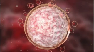 Impact of Chromosome Recombination Failures in Human Eggs - Fertility Plus