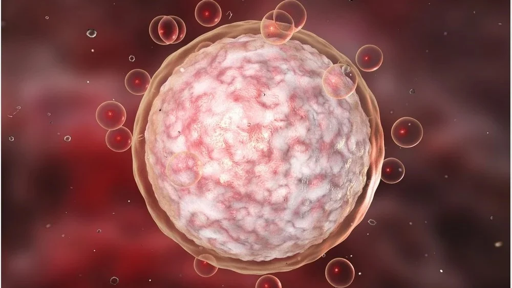 Impact of Chromosome Recombination Failures in Human Eggs – Fertility Plus