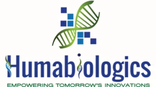 Biomaterials Revolutionizing Endometrial Repair Strategies - Humabiologics