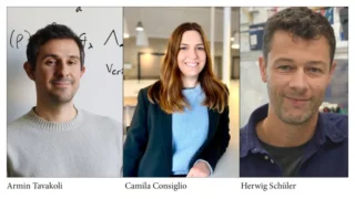 Innovative Research in IVF Outcomes and Immunology - Lunds Universitet