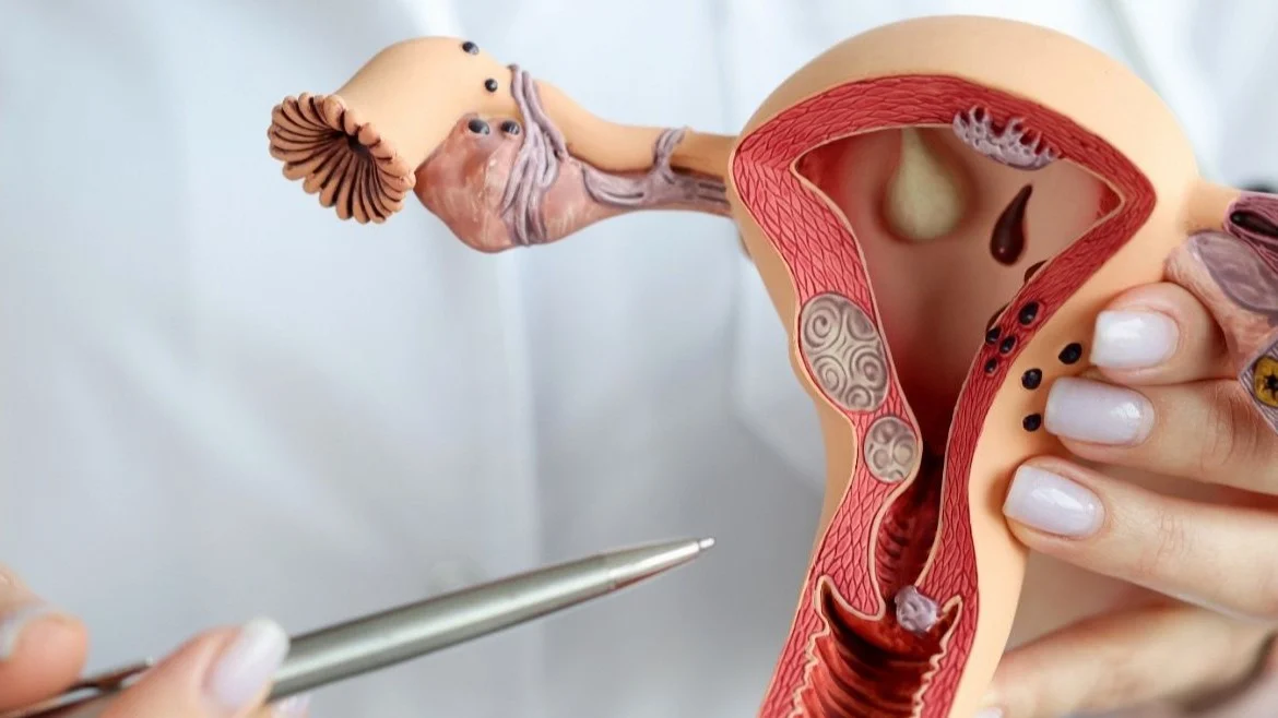 Scientists Build a Lab Womb Lining to Watch Embryos Implant – Shivani Scientific Industries