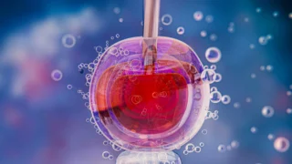 Silvia Alvarez: Key Findings on Egg Freezing Impact