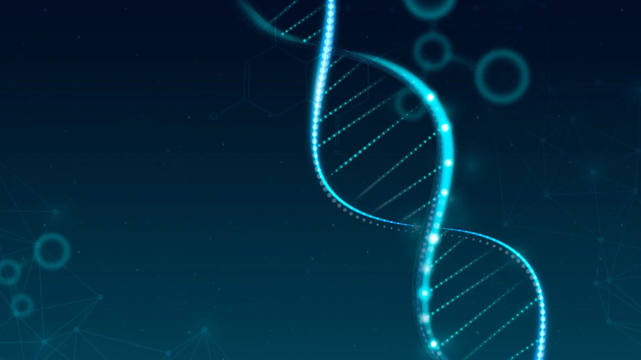 Wajeeha Shahid: Unraveling Genetic Factors in Male Infertility