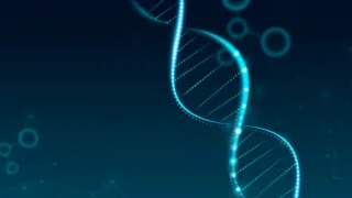 Wajeeha Shahid: Unraveling Genetic Factors in Male Infertility