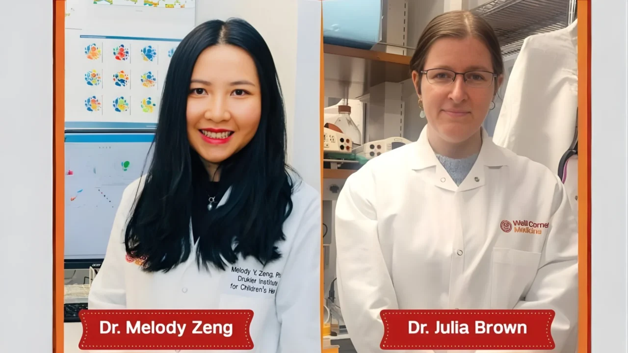 Gut Microbiota’s Role in Maternal-Fetal Immune Tolerance – Weill Cornell Medicine