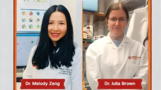 Gut Microbiota's Role in Maternal-Fetal Immune Tolerance - Weill Cornell Medicine