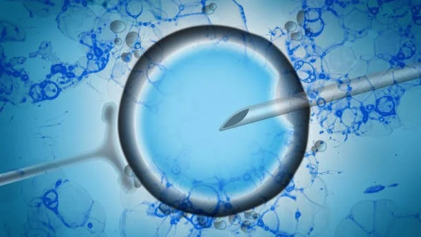 New Data on Assisted Hatching in Assisted Reproduction – C.L.A.R. Consulting