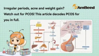 Innovations in PCOS Research, Pathways and Mechanisms - AmBeed