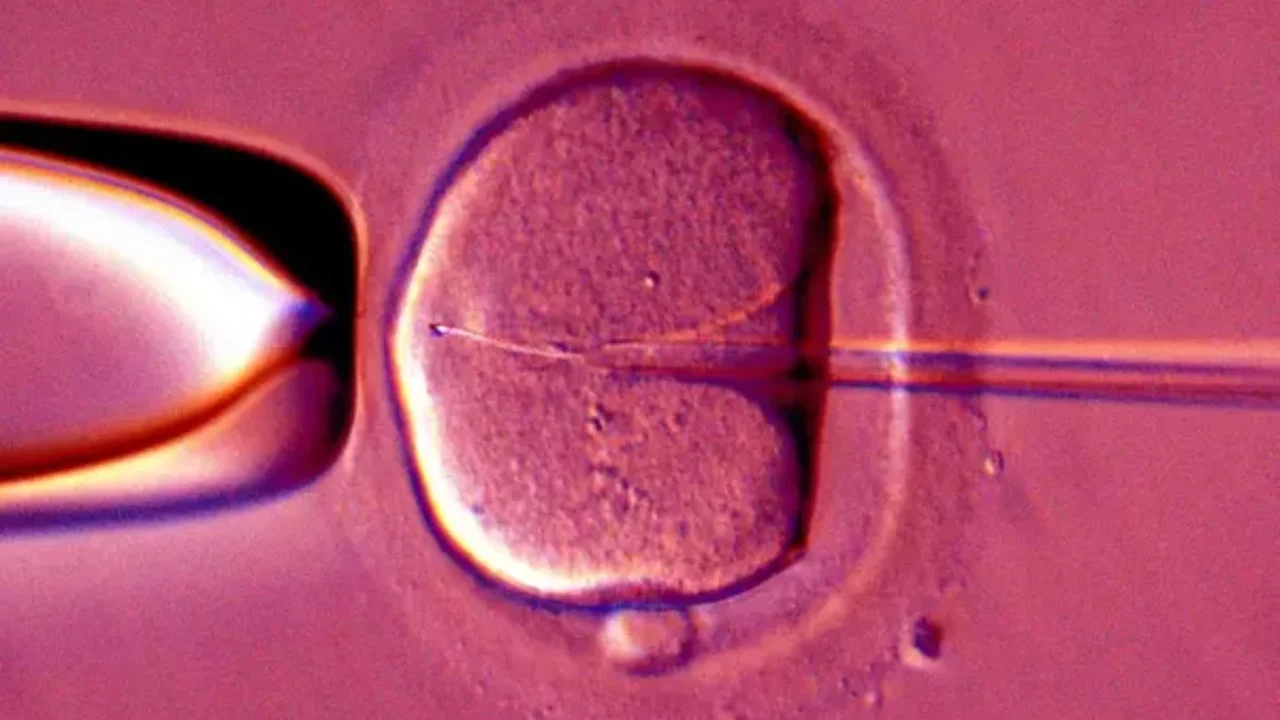 Diane Amedo: Revolutionary Egg Rejuvenation Technique