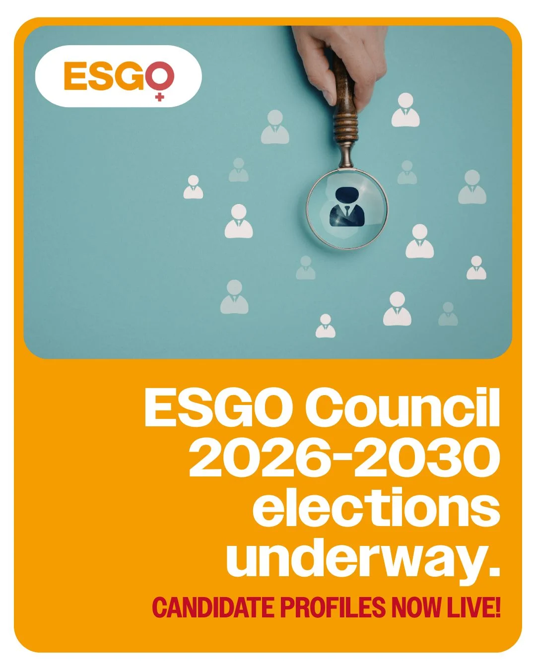 ESGO Members, It’s Time to Vote! – ESGO