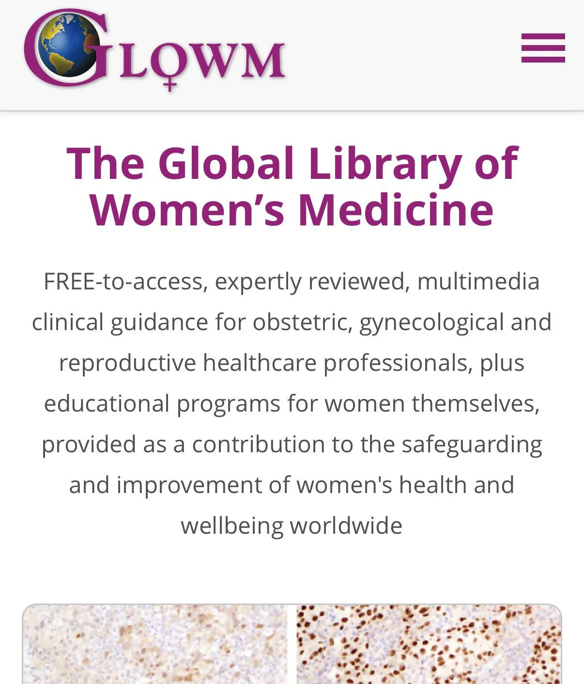 Vikram Sinai Talaulikar